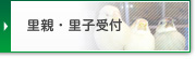 里親・里子受付